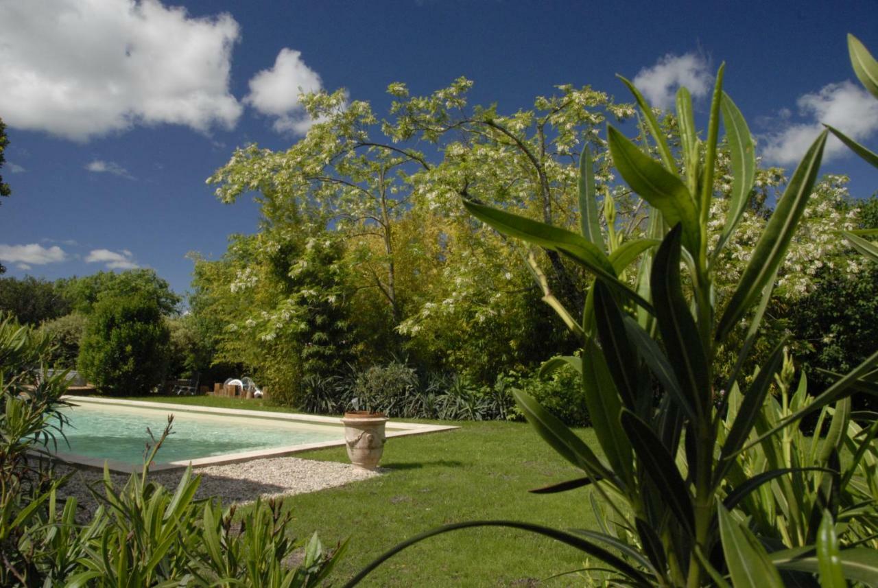 Le Coing Des Vignes Bed and Breakfast Mauressargues Εξωτερικό φωτογραφία