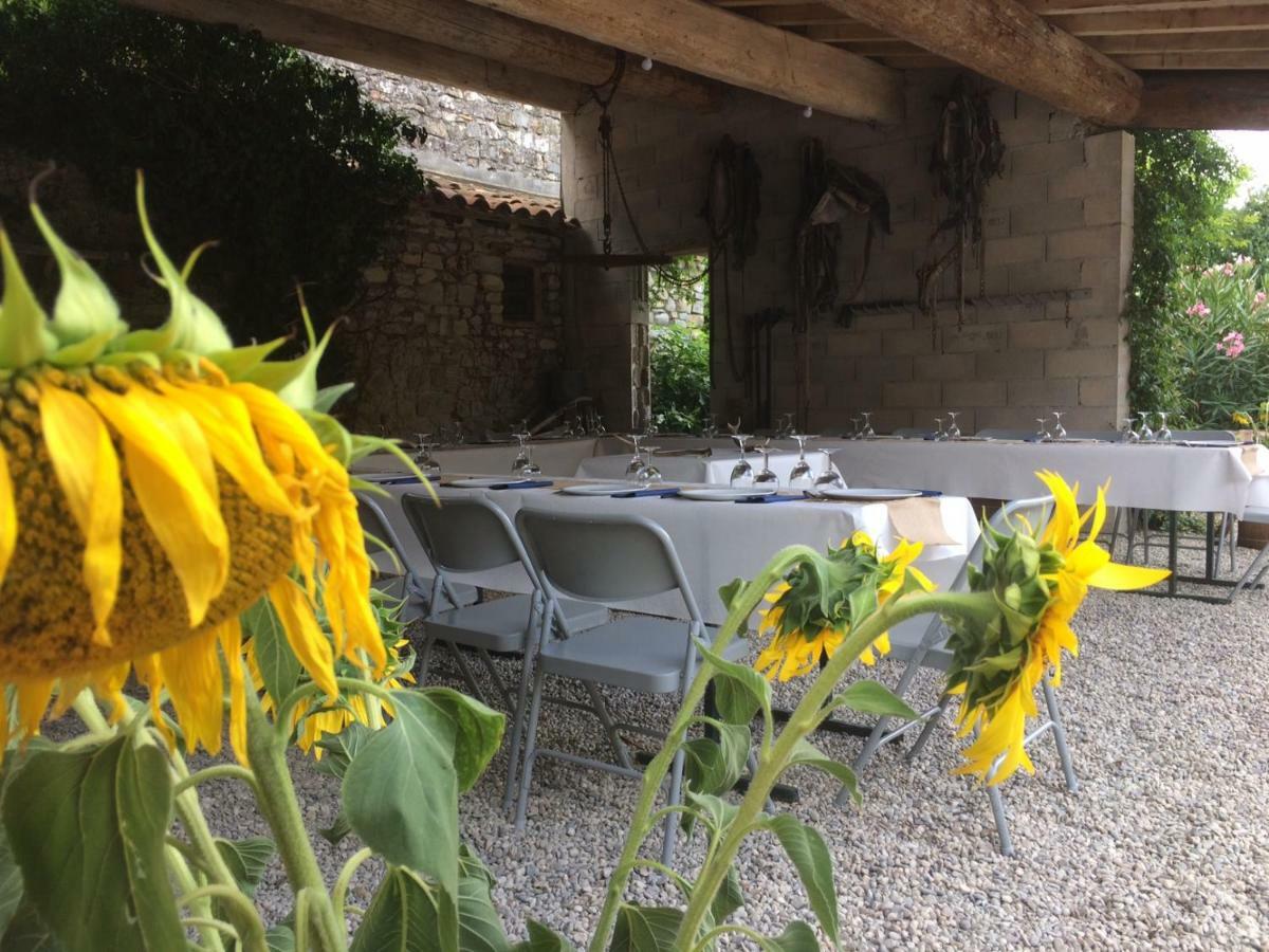 Le Coing Des Vignes Bed and Breakfast Mauressargues Εξωτερικό φωτογραφία